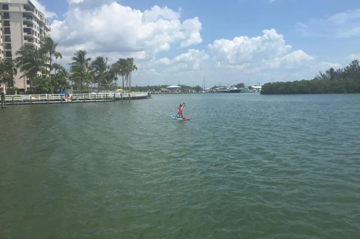 A person on a surfboard in the water.