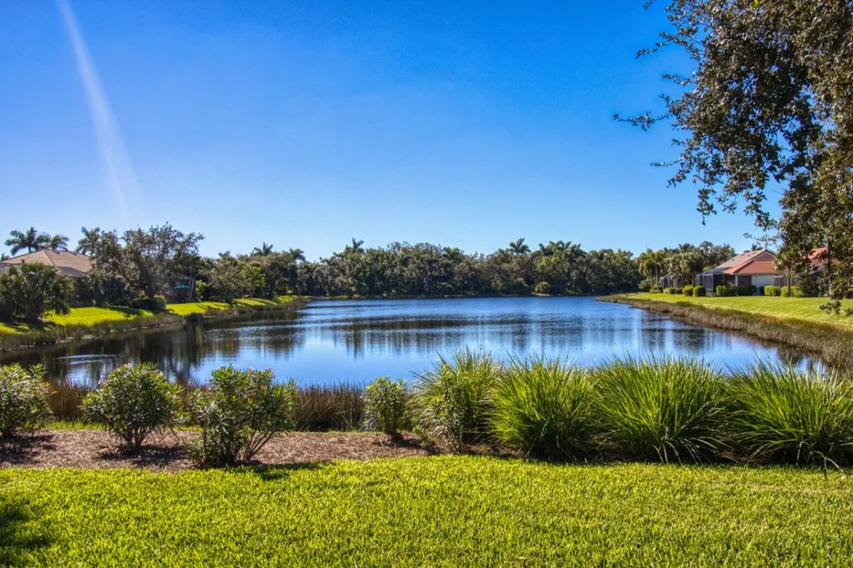 A pond with grass and trees in the background.