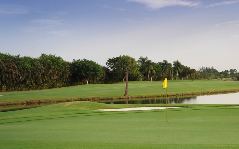Still pond on golf course