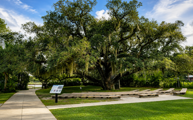 Manatee Park Lee County Cahill