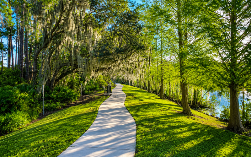 florida walk cahill